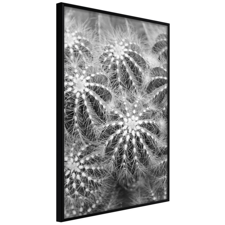 Poster Risky Adventure - black and white composition with prickly plants 117939 additionalImage 10