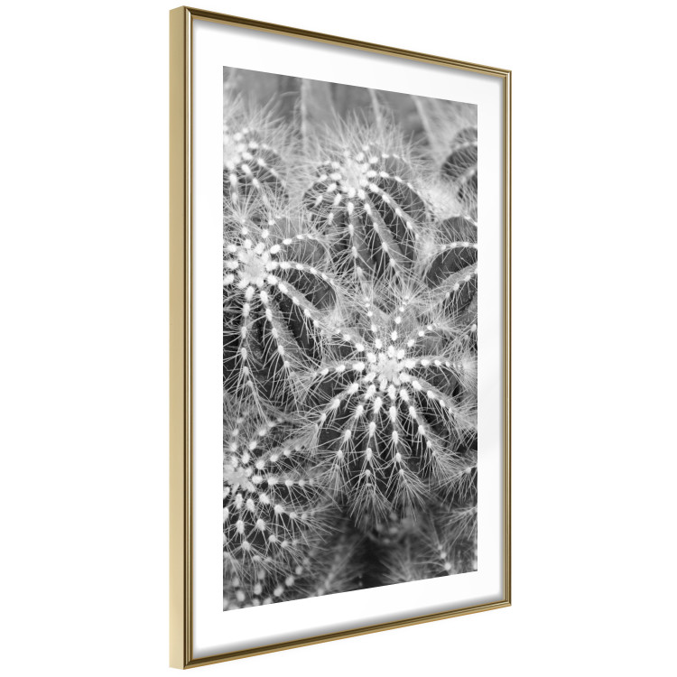 Poster Risky Adventure - black and white composition with prickly plants 117939 additionalImage 8