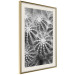 Poster Risky Adventure - black and white composition with prickly plants 117939 additionalThumb 2