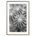 Poster Risky Adventure - black and white composition with prickly plants 117939 additionalThumb 16