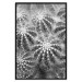 Poster Risky Adventure - black and white composition with prickly plants 117939 additionalThumb 18