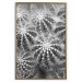 Poster Risky Adventure - black and white composition with prickly plants 117939 additionalThumb 16