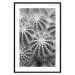 Poster Risky Adventure - black and white composition with prickly plants 117939 additionalThumb 17