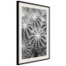 Poster Risky Adventure - black and white composition with prickly plants 117939 additionalThumb 3