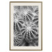 Poster Risky Adventure - black and white composition with prickly plants 117939 additionalThumb 19