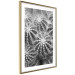 Poster Risky Adventure - black and white composition with prickly plants 117939 additionalThumb 8