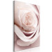 Canvas Pastel Charm (1-part) - Blooming Rose in Nature's Hue 122839 additionalThumb 2