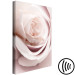 Canvas Pastel Charm (1-part) - Blooming Rose in Nature's Hue 122839 additionalThumb 6