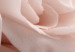 Canvas Pastel Charm (1-part) - Blooming Rose in Nature's Hue 122839 additionalThumb 5