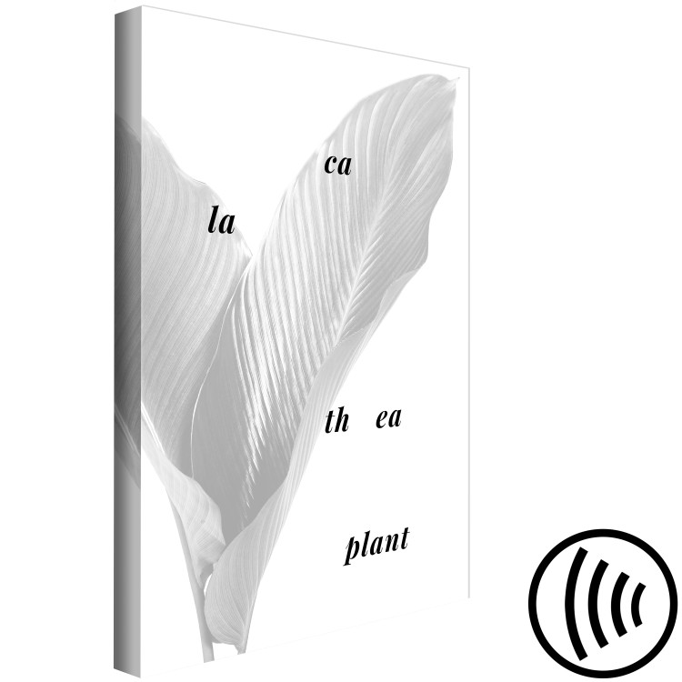 Canvas Art Print Silver calathea leaves with inscription - graphic with botanical motif 122939 additionalImage 6