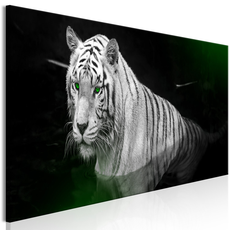 Canvas White tiger in the water - a photo of an animal with green eyes 123339 additionalImage 2