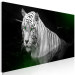 Canvas White tiger in the water - a photo of an animal with green eyes 123339 additionalThumb 2