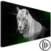 Canvas White tiger in the water - a photo of an animal with green eyes 123339 additionalThumb 6