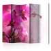 Room Separator Pink Orchid II (5-piece) - blooming flowers on a light pink background 124239
