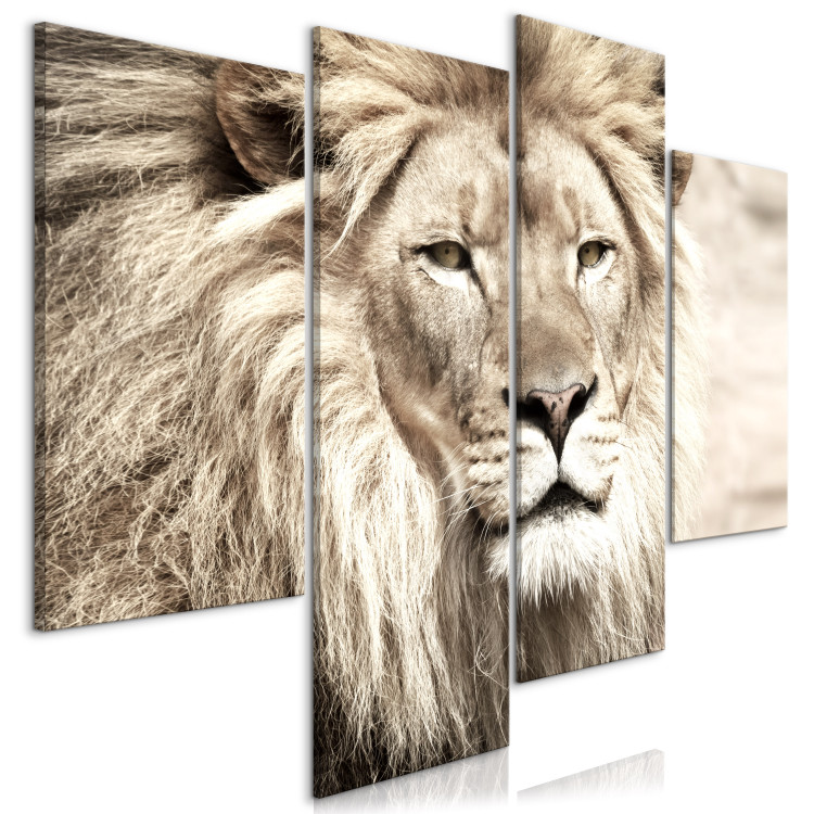 Canvas Art Print Lion in shades of beige - a four-part African landscape 127239 additionalImage 2