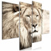 Canvas Art Print Lion in shades of beige - a four-part African landscape 127239 additionalThumb 2