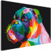 Paint by Number Kit Colourful Boxer 127439 additionalThumb 4