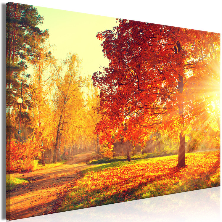 Canvas Autumn Afternoon (1-part) wide - golden landscape of trees 128839 additionalImage 2