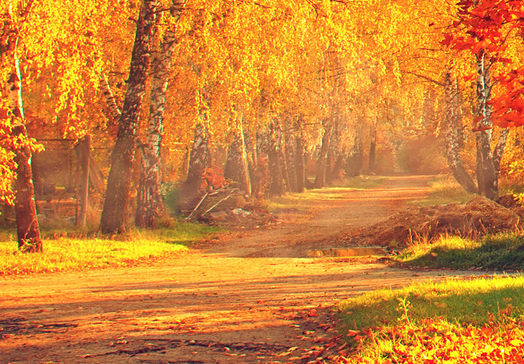 Canvas Autumn Afternoon (1-part) wide - golden landscape of trees 128839 additionalImage 4