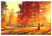 Canvas Autumn Afternoon (1-part) wide - golden landscape of trees 128839