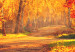 Canvas Autumn Afternoon (1-part) wide - golden landscape of trees 128839 additionalThumb 4