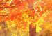 Canvas Autumn Afternoon (1-part) wide - golden landscape of trees 128839 additionalThumb 5