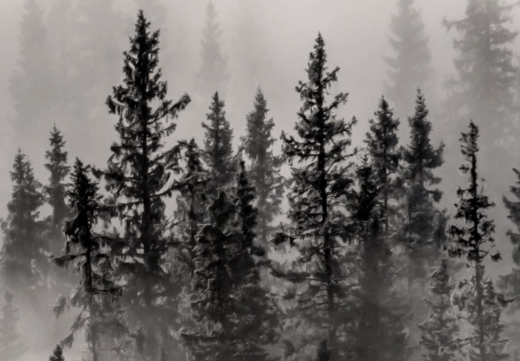 Canvas Nesting Ground (1-piece) Vertical - landscape of misty dark forest 130239 additionalImage 4