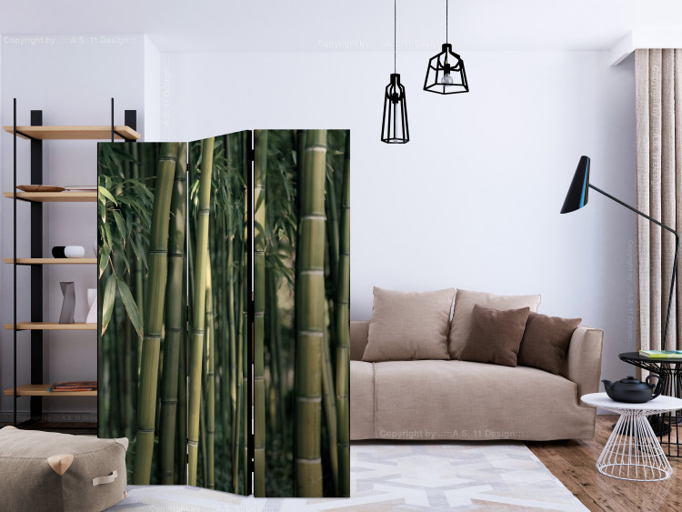Folding Screen Bamboo Exotica (3-piece) - dark green forest full of bamboo sticks 133139 additionalImage 4