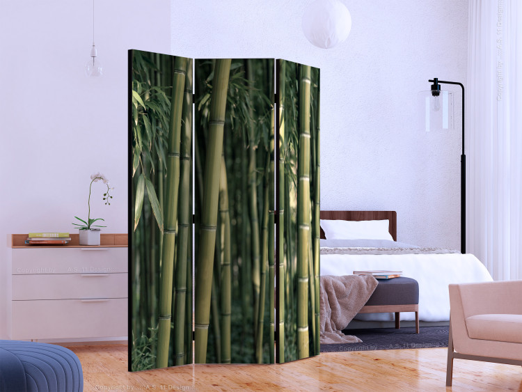 Folding Screen Bamboo Exotica (3-piece) - dark green forest full of bamboo sticks 133139 additionalImage 2