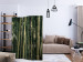 Folding Screen Bamboo Exotica (3-piece) - dark green forest full of bamboo sticks 133139 additionalThumb 4