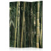 Folding Screen Bamboo Exotica (3-piece) - dark green forest full of bamboo sticks 133139