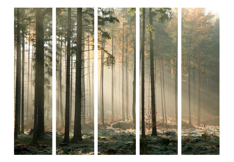 Room Divider Screen Foggy November Morning II (5-piece) - landscape of trees in the middle of the forest 134139 additionalImage 3