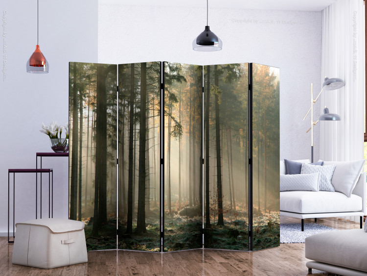 Room Divider Screen Foggy November Morning II (5-piece) - landscape of trees in the middle of the forest 134139 additionalImage 2