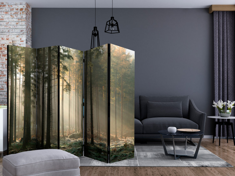 Room Divider Screen Foggy November Morning II (5-piece) - landscape of trees in the middle of the forest 134139 additionalImage 4