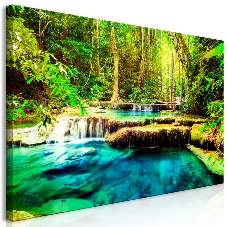 Large canvas print A Jewel of Nature II [Large Format] 137639 additionalImage 2