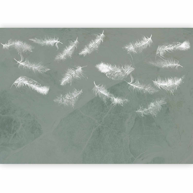 Wall Mural In flight - white feathers carried by the wind on an olive background with pattern 142639 additionalImage 5