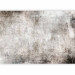 Photo Wallpaper Parallel world - abstraction in grey tones with concrete texture 143239 additionalThumb 1