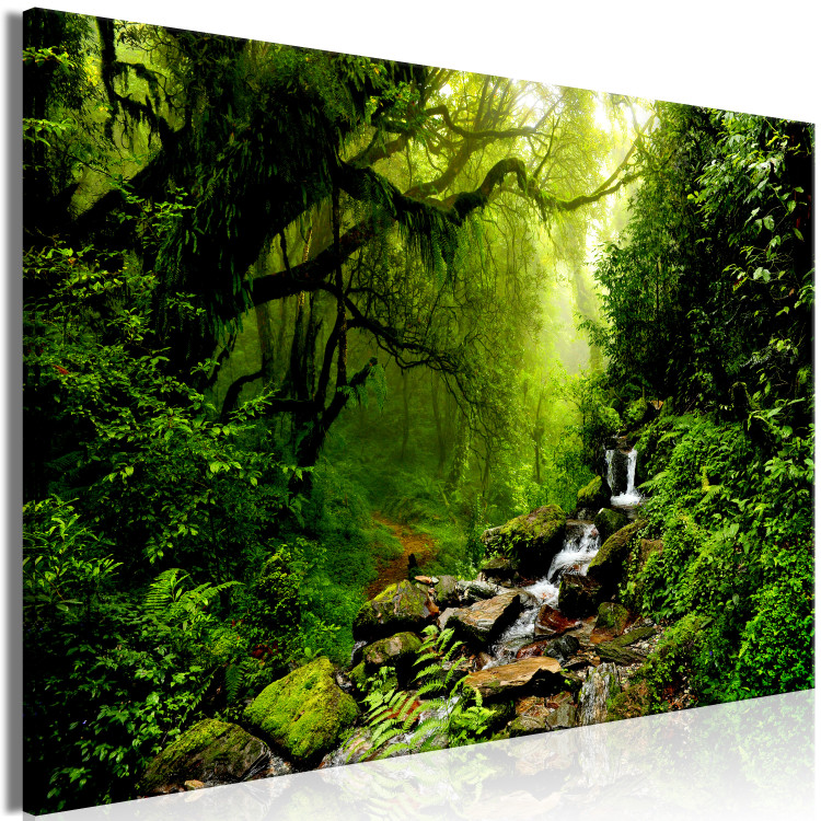 Large canvas print Enchanted Backwoods [Large Format] 149039 additionalImage 2