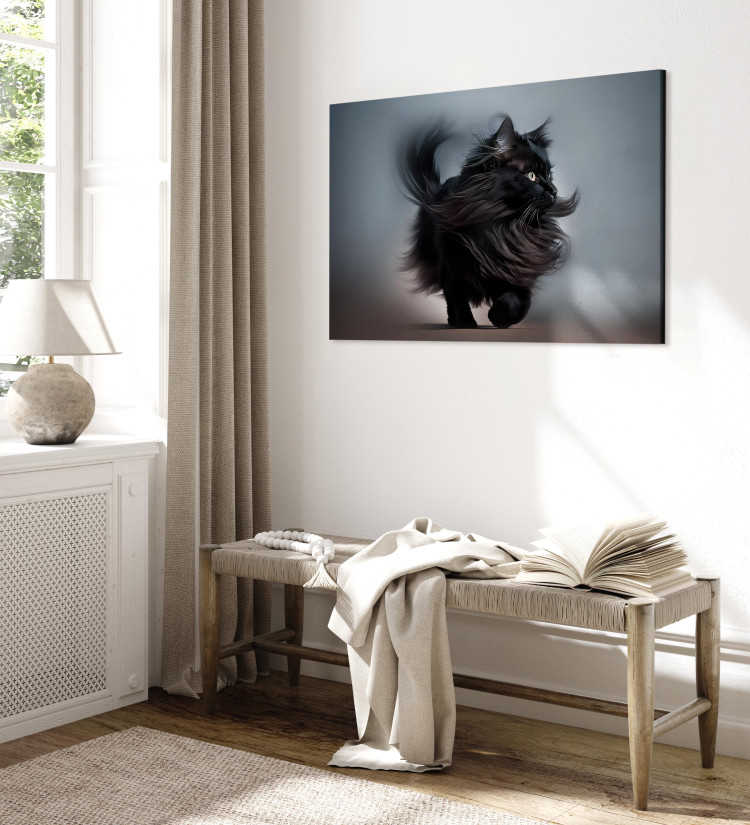 Canvas AI Maine Coon Cat - Walking Animal With Long Black Hair - Horizontal 150139 additionalImage 4