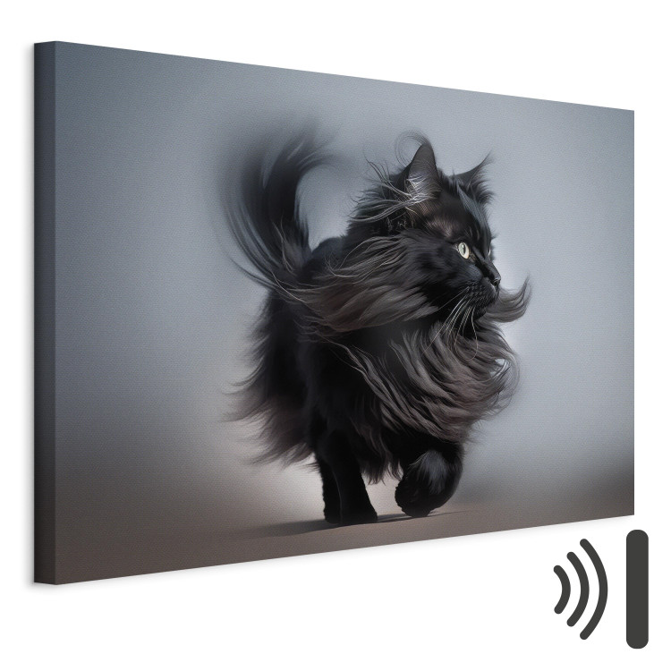 Canvas AI Maine Coon Cat - Walking Animal With Long Black Hair - Horizontal 150139 additionalImage 8