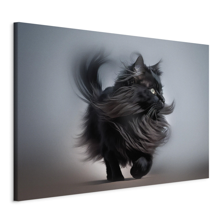 Canvas AI Maine Coon Cat - Walking Animal With Long Black Hair - Horizontal 150139 additionalImage 2