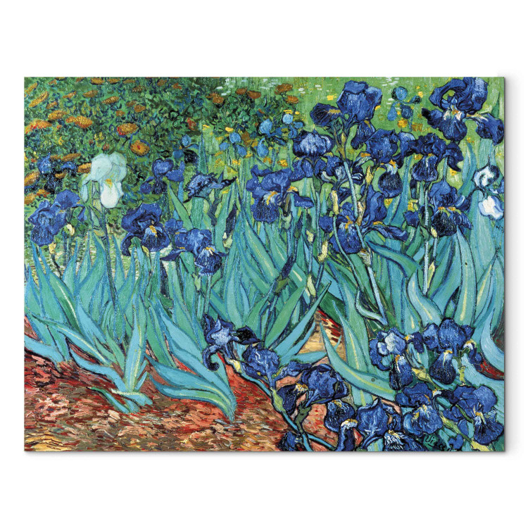 Art Reproduction Irises – Saint Remy 157939