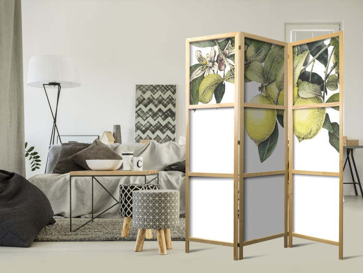 Folding Screen Lemons and Leaves - Citrus Fruits on a Tree [Room Dividers] 159539 additionalImage 8