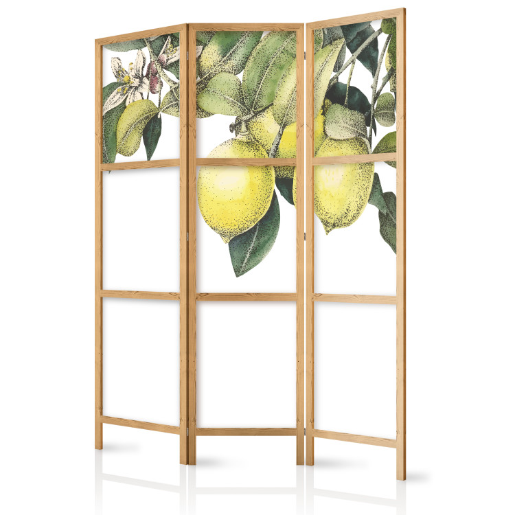 Folding Screen Lemons and Leaves - Citrus Fruits on a Tree [Room Dividers] 159539 additionalImage 5