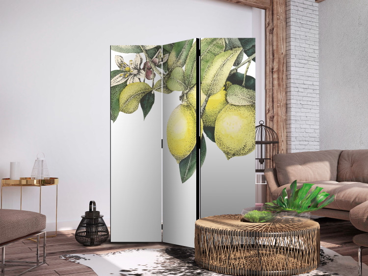 Folding Screen Lemons and Leaves - Citrus Fruits on a Tree [Room Dividers] 159539 additionalImage 2