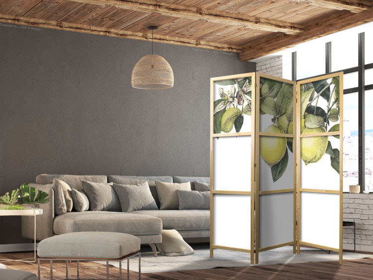 Folding Screen Lemons and Leaves - Citrus Fruits on a Tree [Room Dividers] 159539 additionalImage 6