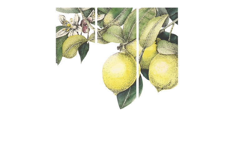 Folding Screen Lemons and Leaves - Citrus Fruits on a Tree [Room Dividers] 159539 additionalImage 3