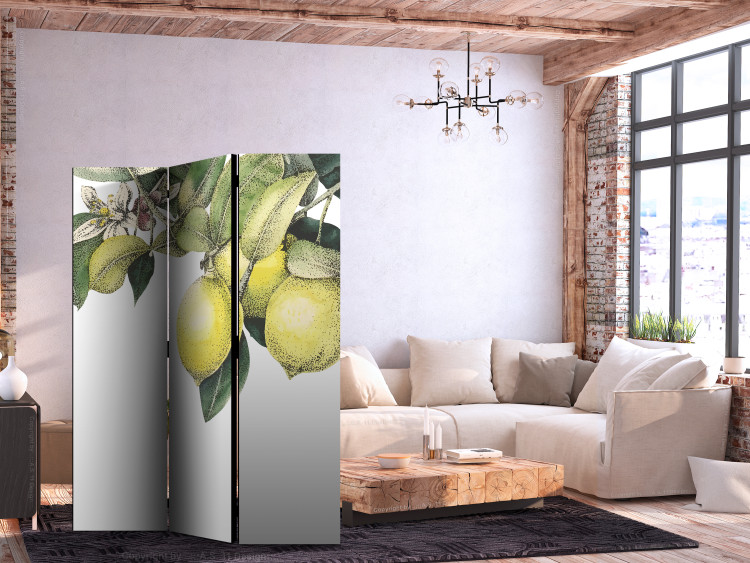 Folding Screen Lemons and Leaves - Citrus Fruits on a Tree [Room Dividers] 159539 additionalImage 4