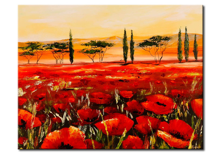 Canvas Floral Field in Tuscany (1-piece) - red poppy flowers trees 47139