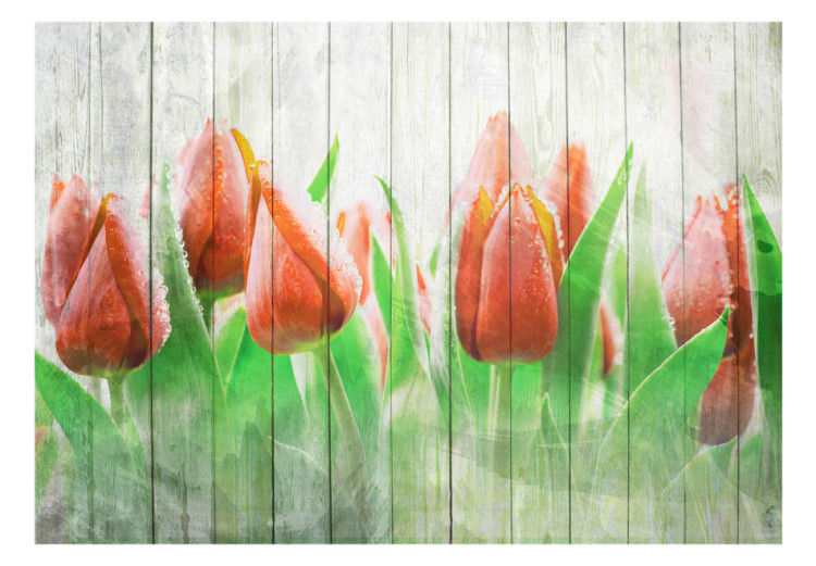 Photo Wallpaper Red Tulips on Wood - Bright Floral Motif on White Wood 60339 additionalImage 1